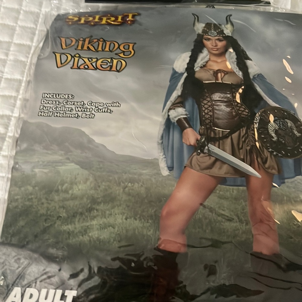 Women’s Viking Vixen Costume